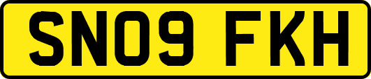 SN09FKH