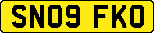 SN09FKO