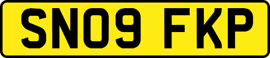 SN09FKP