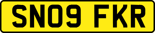 SN09FKR