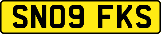 SN09FKS