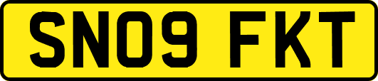 SN09FKT