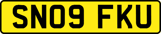 SN09FKU