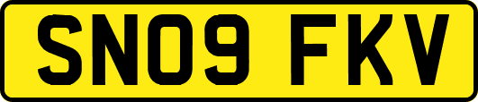 SN09FKV