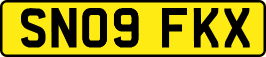 SN09FKX