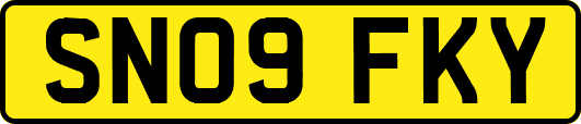 SN09FKY