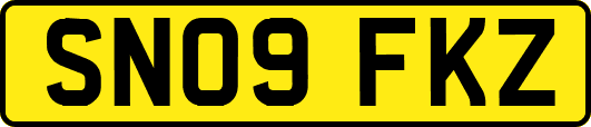SN09FKZ