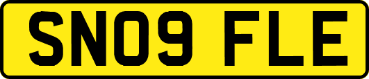 SN09FLE