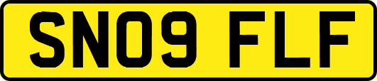 SN09FLF