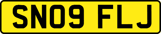 SN09FLJ
