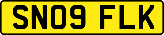 SN09FLK