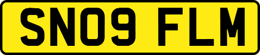 SN09FLM