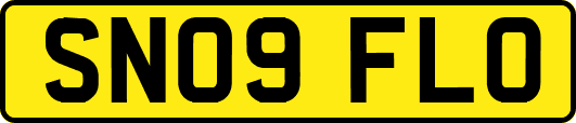 SN09FLO