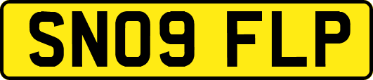 SN09FLP