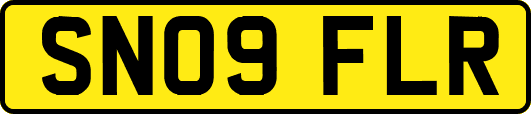 SN09FLR