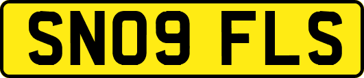 SN09FLS