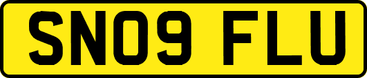 SN09FLU