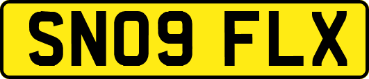SN09FLX