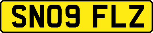 SN09FLZ