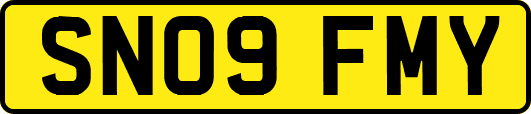SN09FMY