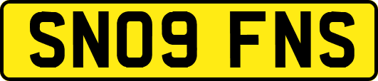 SN09FNS