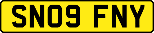 SN09FNY
