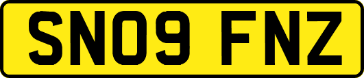 SN09FNZ