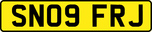 SN09FRJ