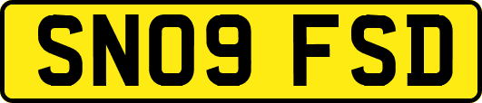 SN09FSD