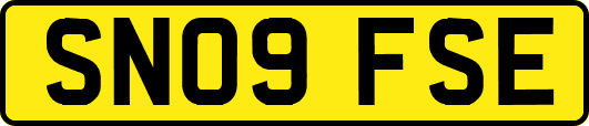 SN09FSE