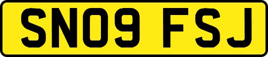 SN09FSJ