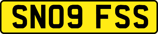 SN09FSS