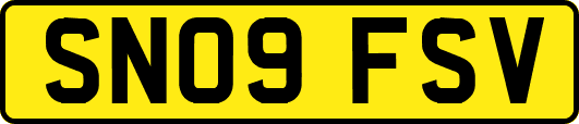 SN09FSV