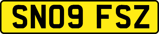 SN09FSZ