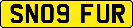 SN09FUR