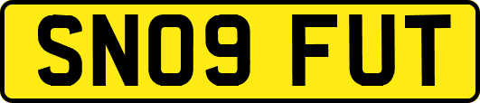 SN09FUT