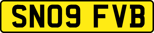 SN09FVB