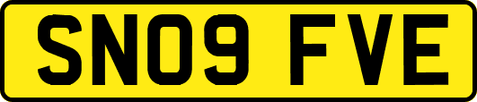 SN09FVE