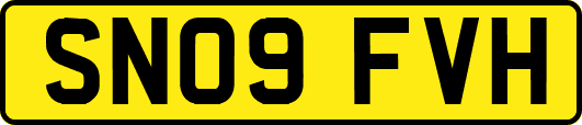 SN09FVH