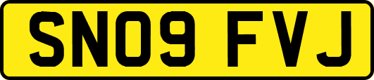 SN09FVJ