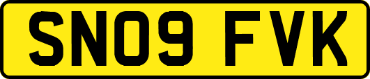 SN09FVK