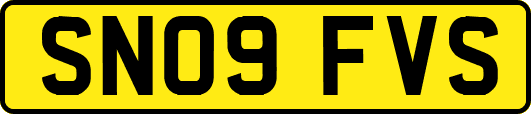 SN09FVS