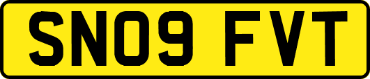 SN09FVT