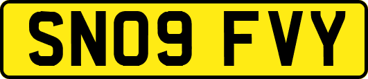 SN09FVY