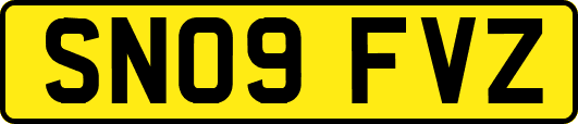 SN09FVZ