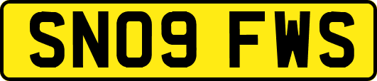 SN09FWS