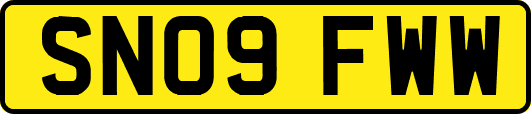SN09FWW