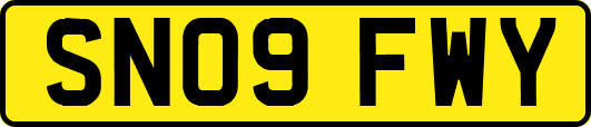 SN09FWY