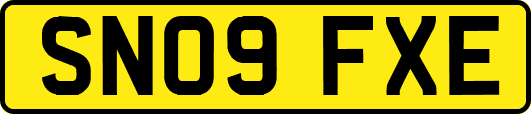 SN09FXE