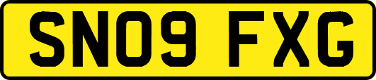 SN09FXG